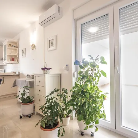 Sandrina Residences