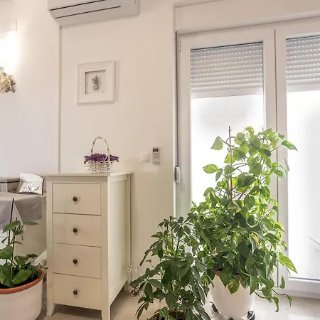 Sandrina Residences Apartment *